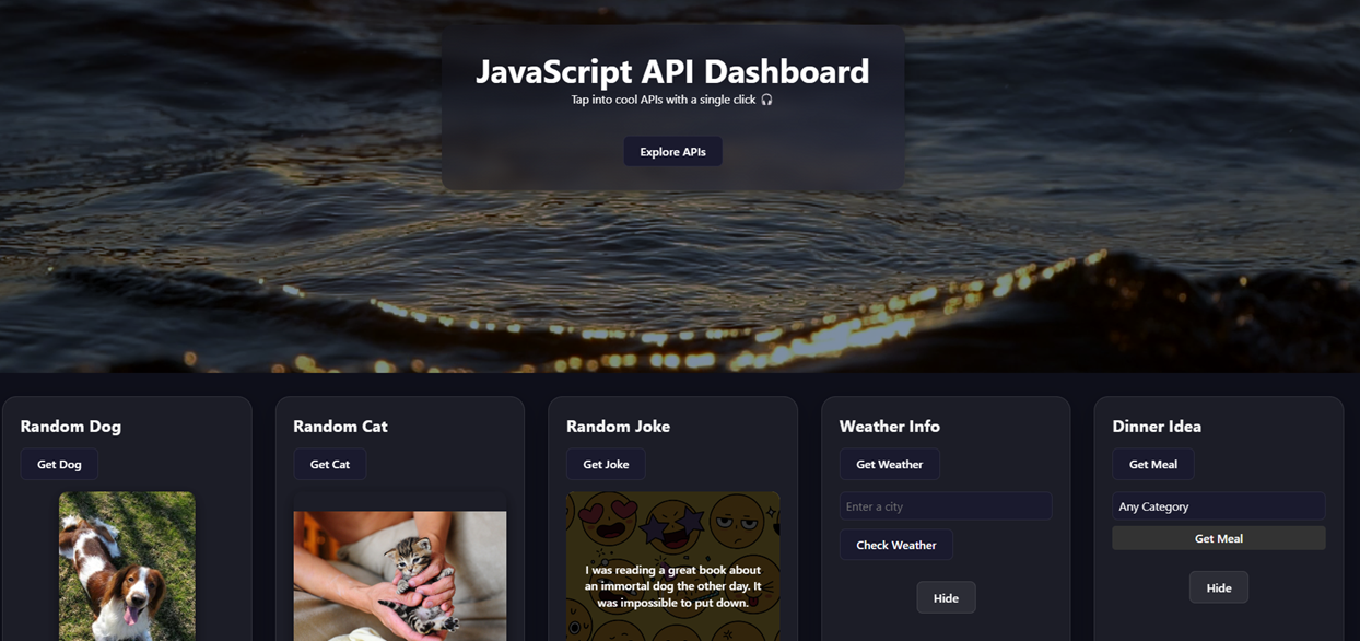 API Dashboard screenshot